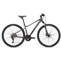 Giant Liv Rove 1 Dd Womens Sports Hybrid Bike  2021