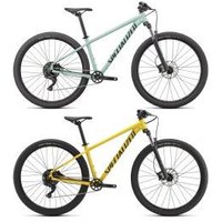 Specialized Rockhopper Comp 29er Mountain Bike  2022 Medium - Gloss Ca White Sage/Satin Forest Green