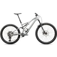 Specialized Stumpjumper Ltd T-Type Carbon Mullet Mountain Bike  2023