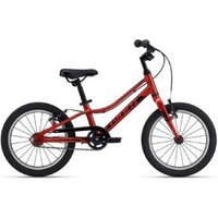Giant Arx 16 Kids Bike 2024